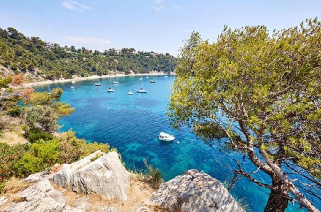 Chez Nat Villa Toulon